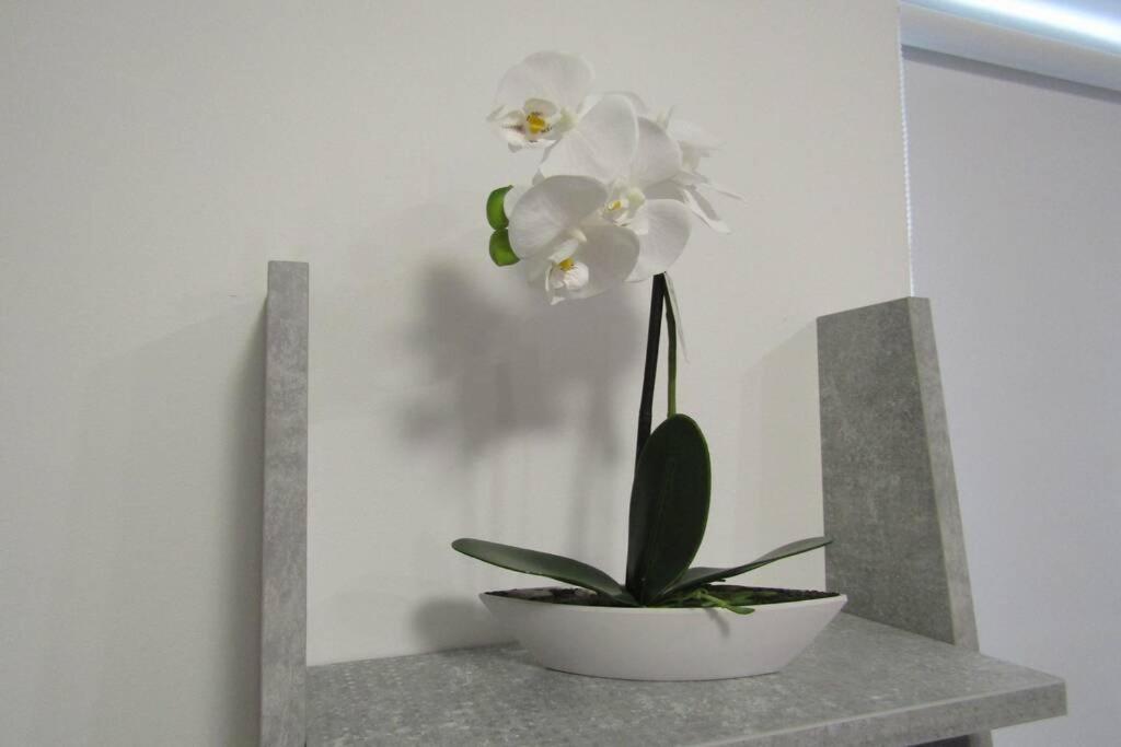 Apartman Megi & Studio Apartman Tomi - Self Check In Krapina Eksteriør billede