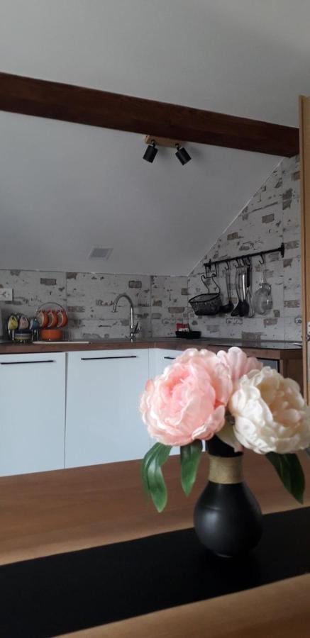 Apartman Megi & Studio Apartman Tomi - Self Check In Krapina Eksteriør billede